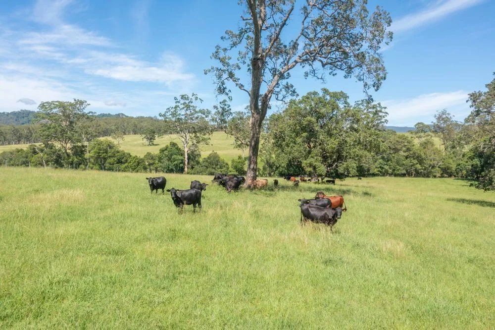 Additional image 32 of 176 McMillans Road, Ellenborough NSW 2446