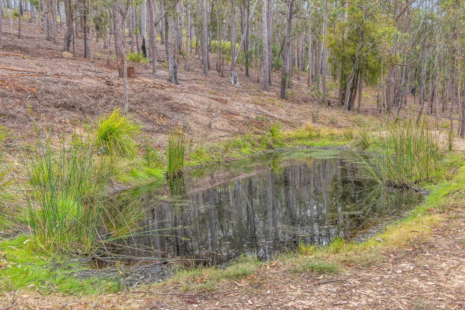 Additional image 4 of 82 Barrabooka North Road, Tanja NSW 2550