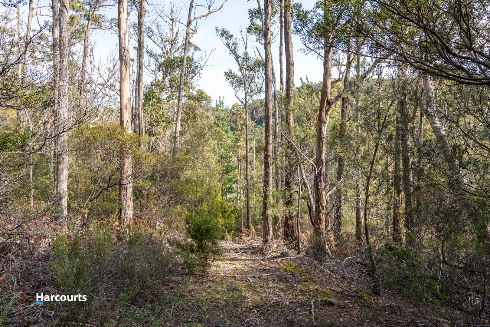 Additional image 14 of 44 Klasen Road, Police Point TAS 7116