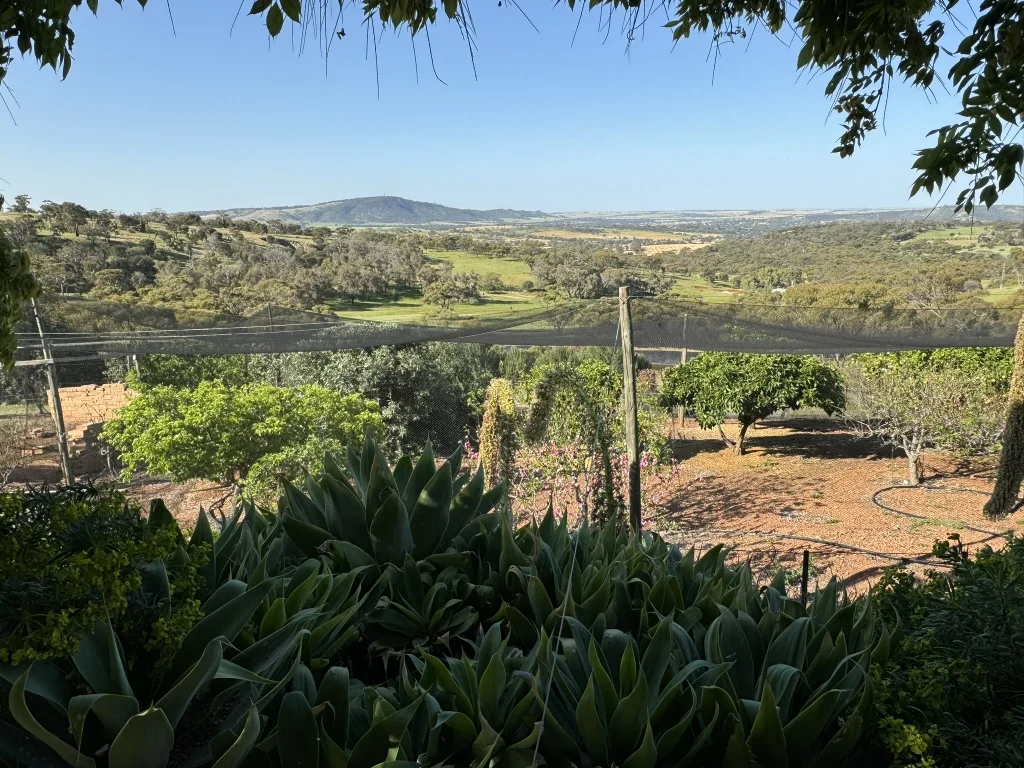 Additional image 3 of 9 Morris Edwards Drive, York WA 6302