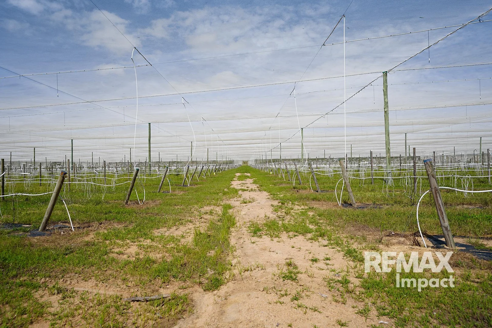 Additional image 17 of Lot 17 Springs Road, Paddys Green QLD 4880