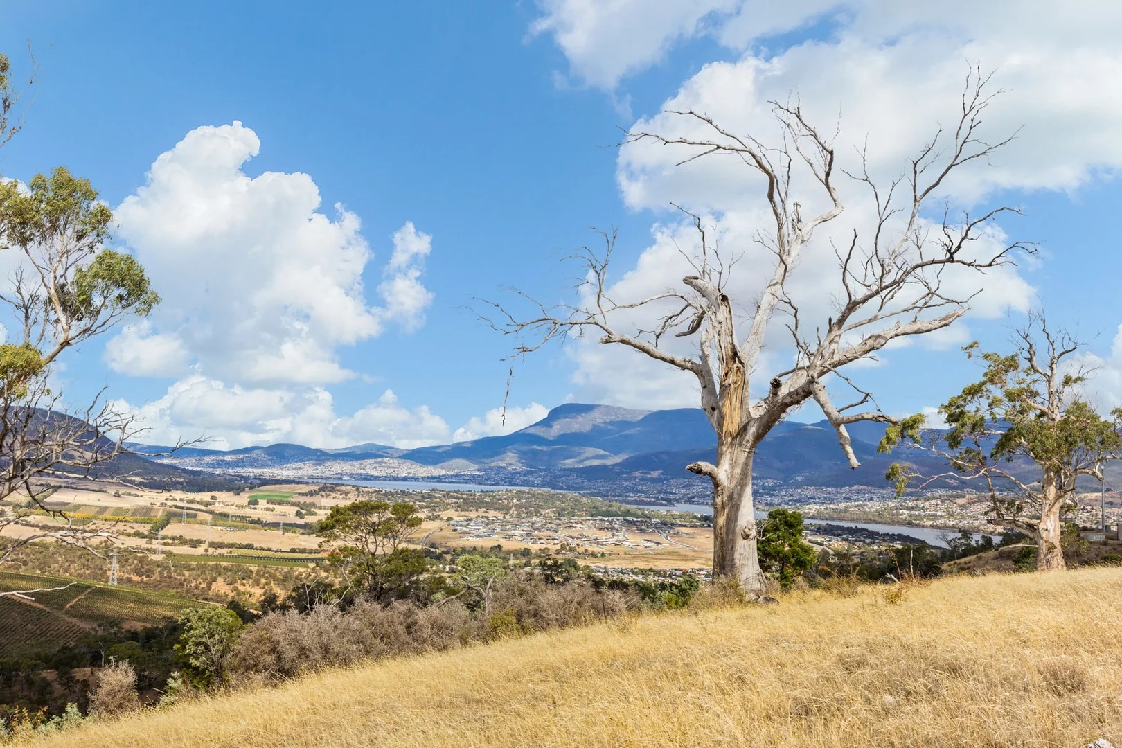 Additional image 7 of 210 Briggs Road, Honeywood TAS 7017