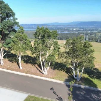 Additional image 9 of 38A Carlyle Close, Dapto NSW 2530