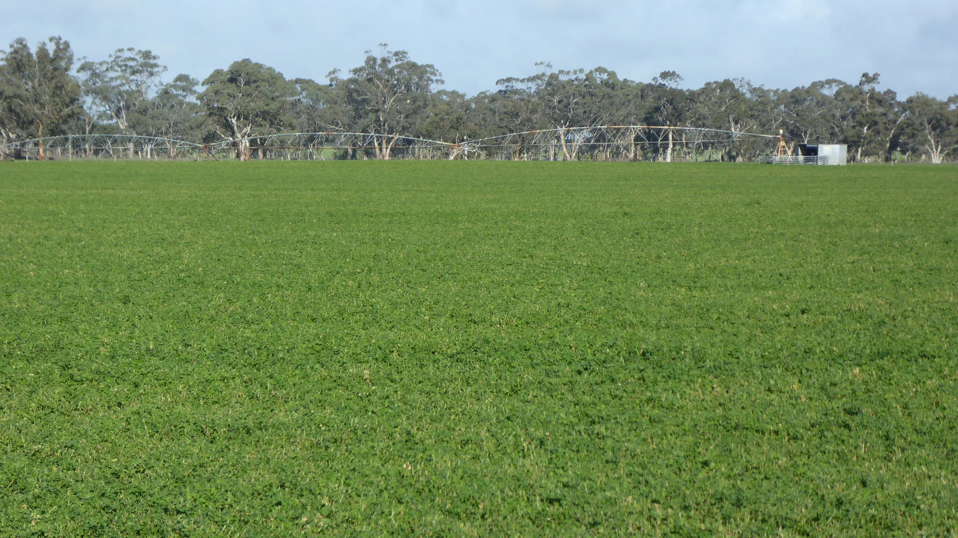 Additional image 20 of "Wyruna" 2989 Naracoorte Road, Western Flat SA 5268