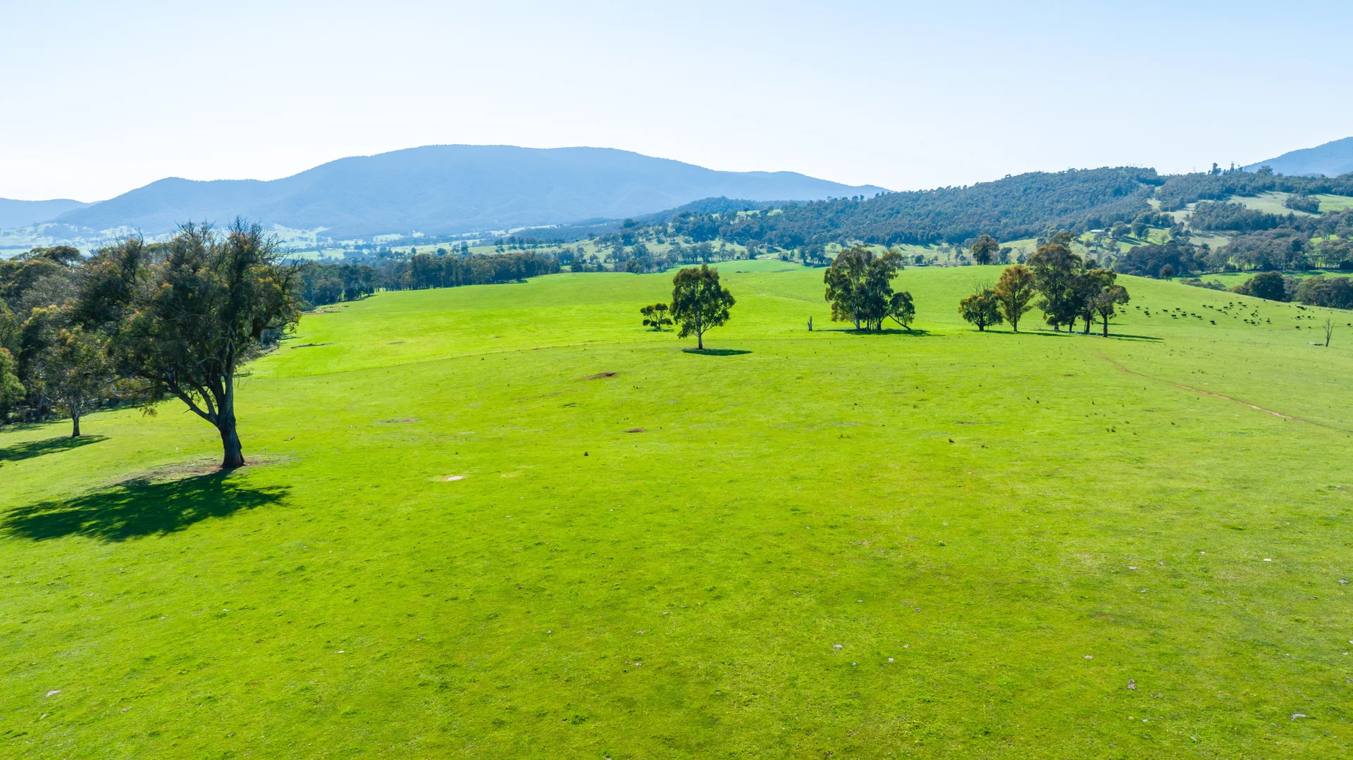 Additional image 4 of 130 Martin Lane, Yackandandah VIC 3749