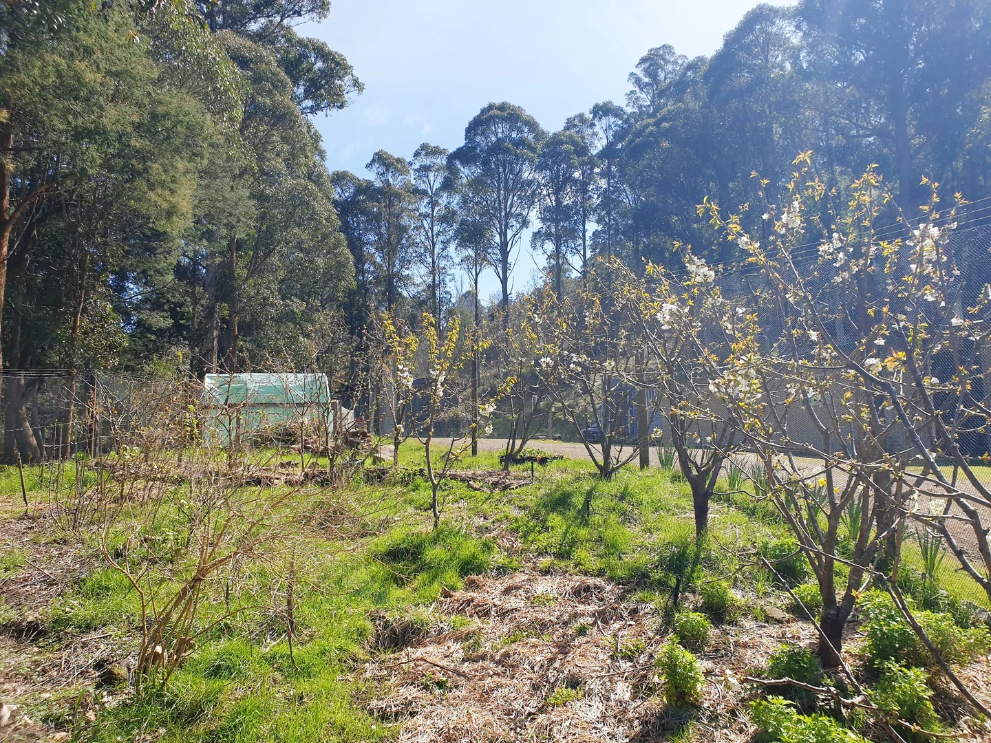 Additional image 26 of 362 Bakers Creek Road, Lucaston TAS 7109