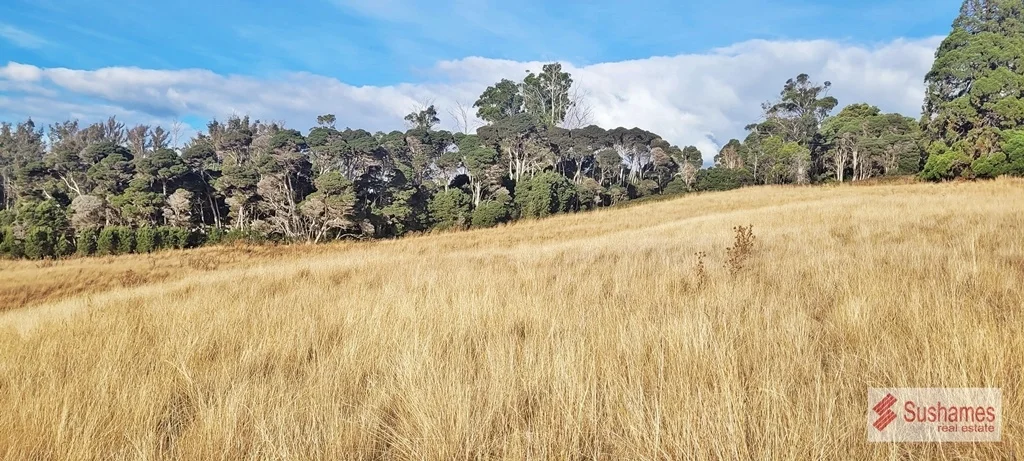 Additional image 12 of Lot 2 Storys Road, Lebrina TAS 7254