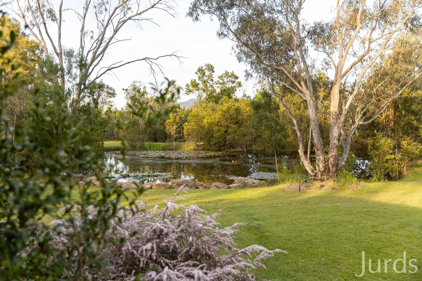 Additional image 7 of 919 Milbrodale Road, Broke NSW 2330