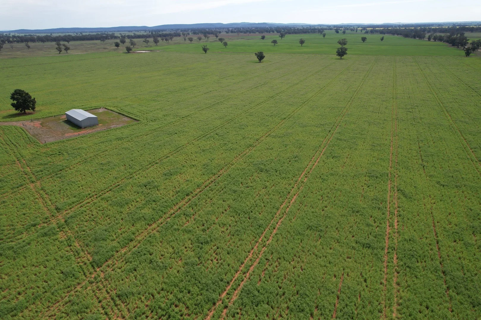 "Ben Hall Park" Yarrangong Road, Forbes NSW 2871