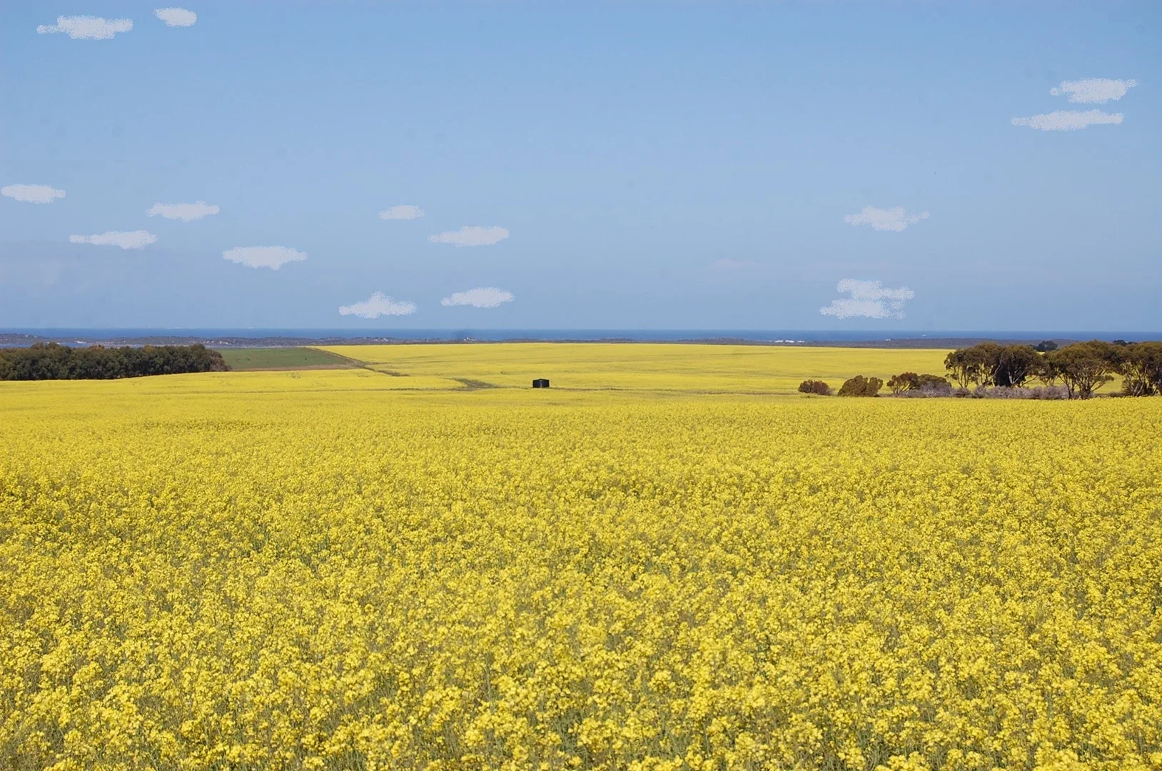 1715 Coxalll Road, Munglinup WA 6450