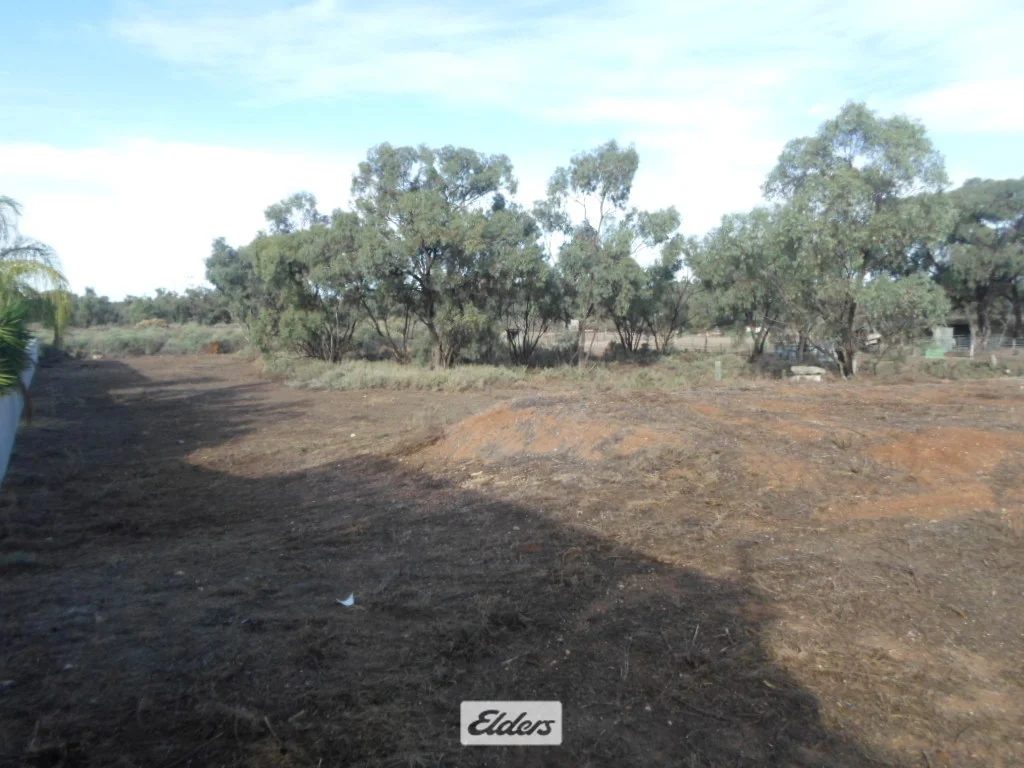 Additional image 4 of 42 Nixon Street, Euston NSW 2737