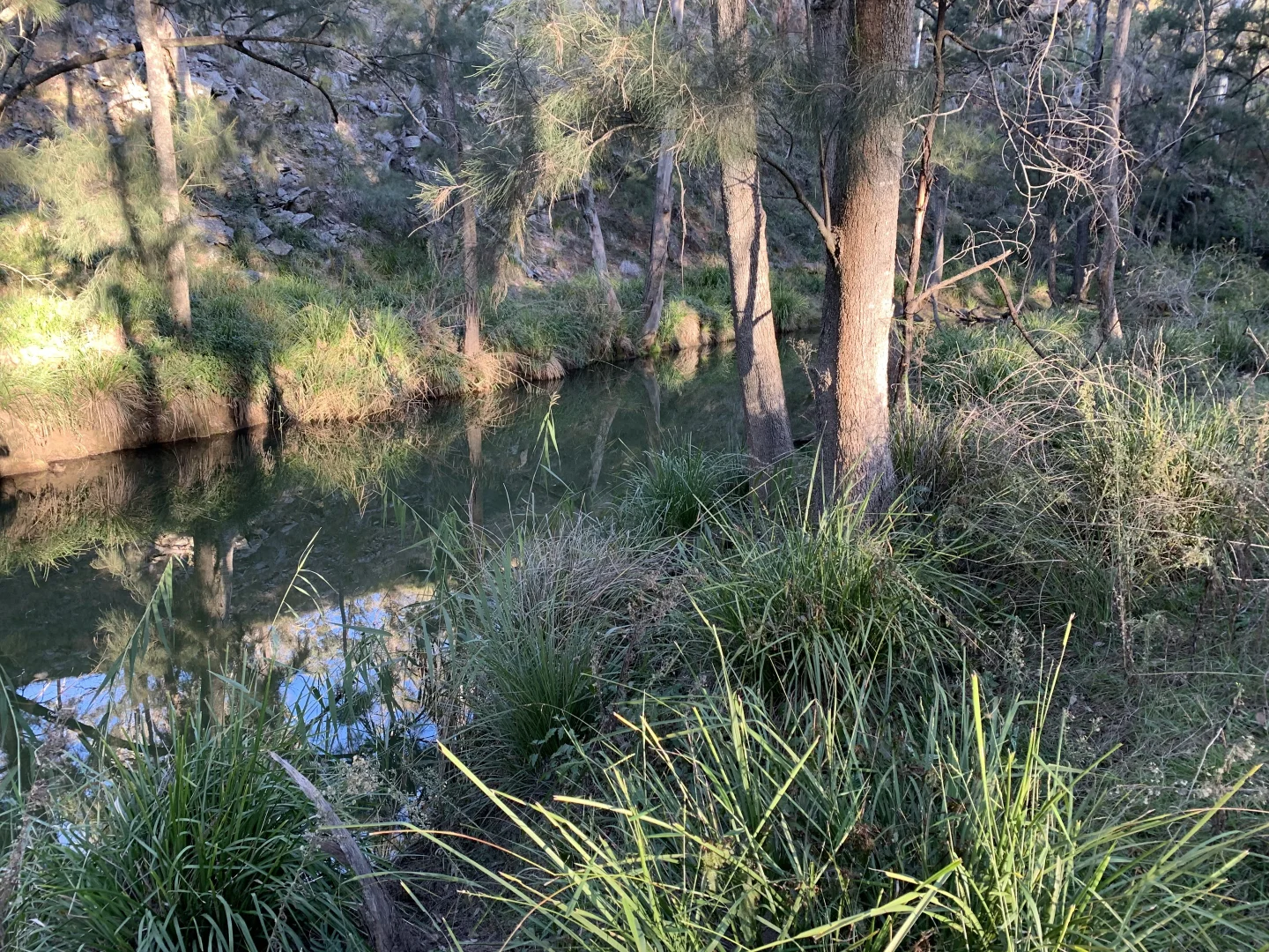 Additional image 4 of 2358 & 326 Port Macquarie Road, Rylstone NSW 2849