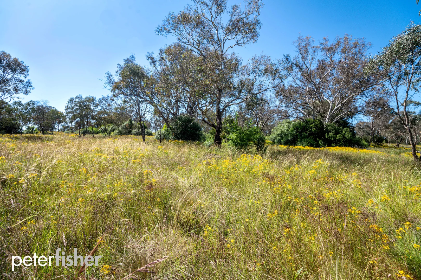 Additional image 5 of Lot 102/Hill Street (Part of 24 Queen Street), Molong NSW 2866