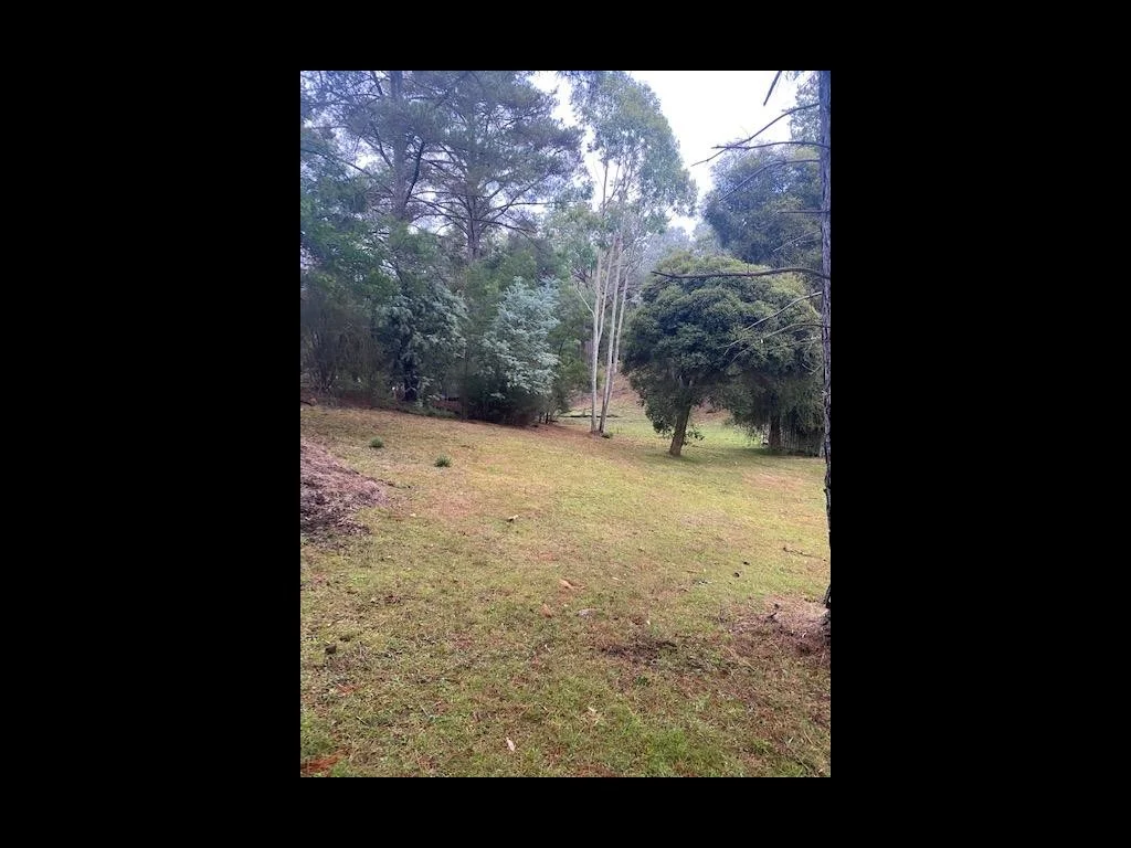 Additional image 5 of 162 Taylor Bay Right Arm Road, Eildon VIC 3713