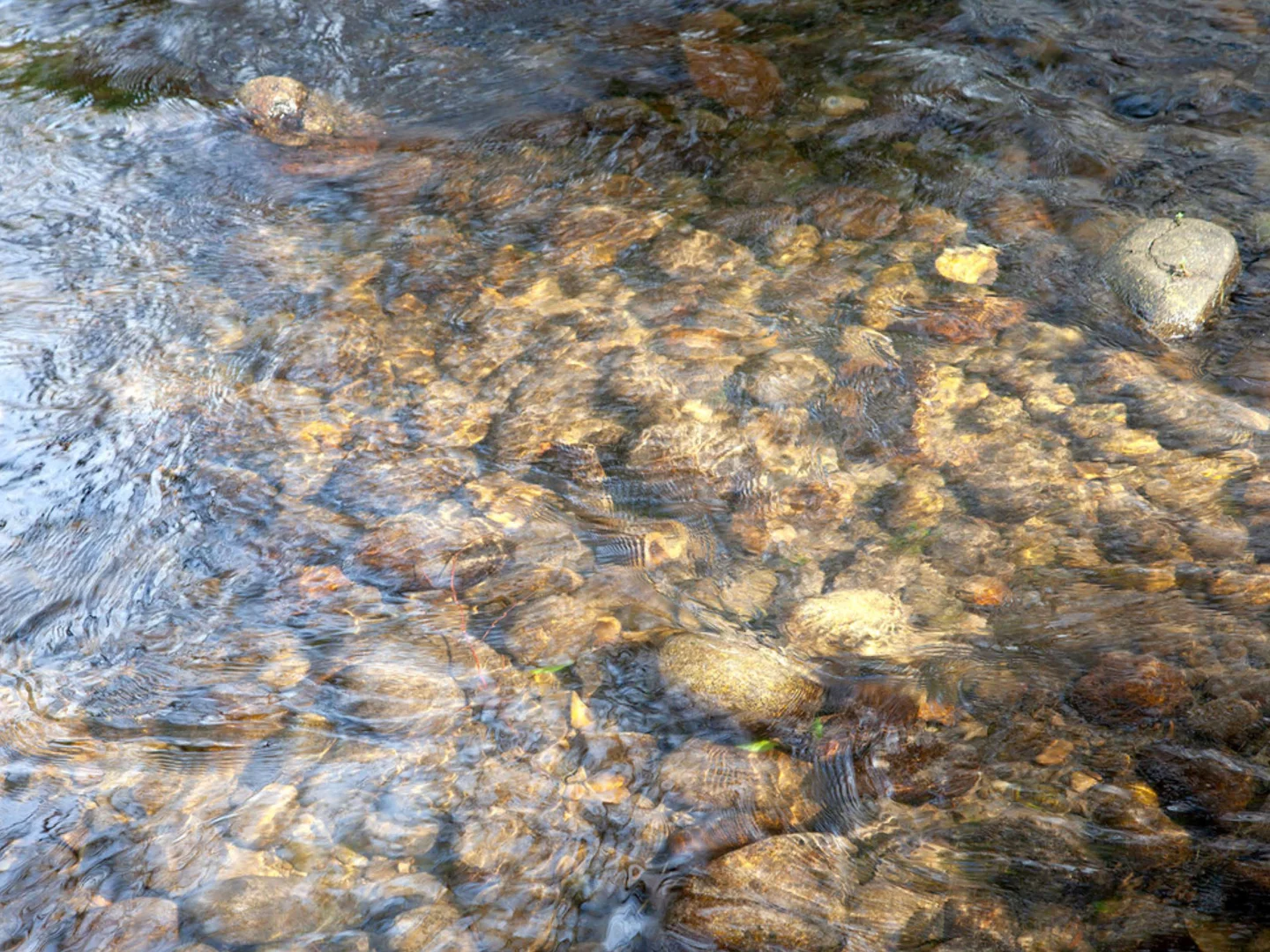 Additional image 7 of 1093 Taggerty-Thornton Road, Thornton VIC 3712