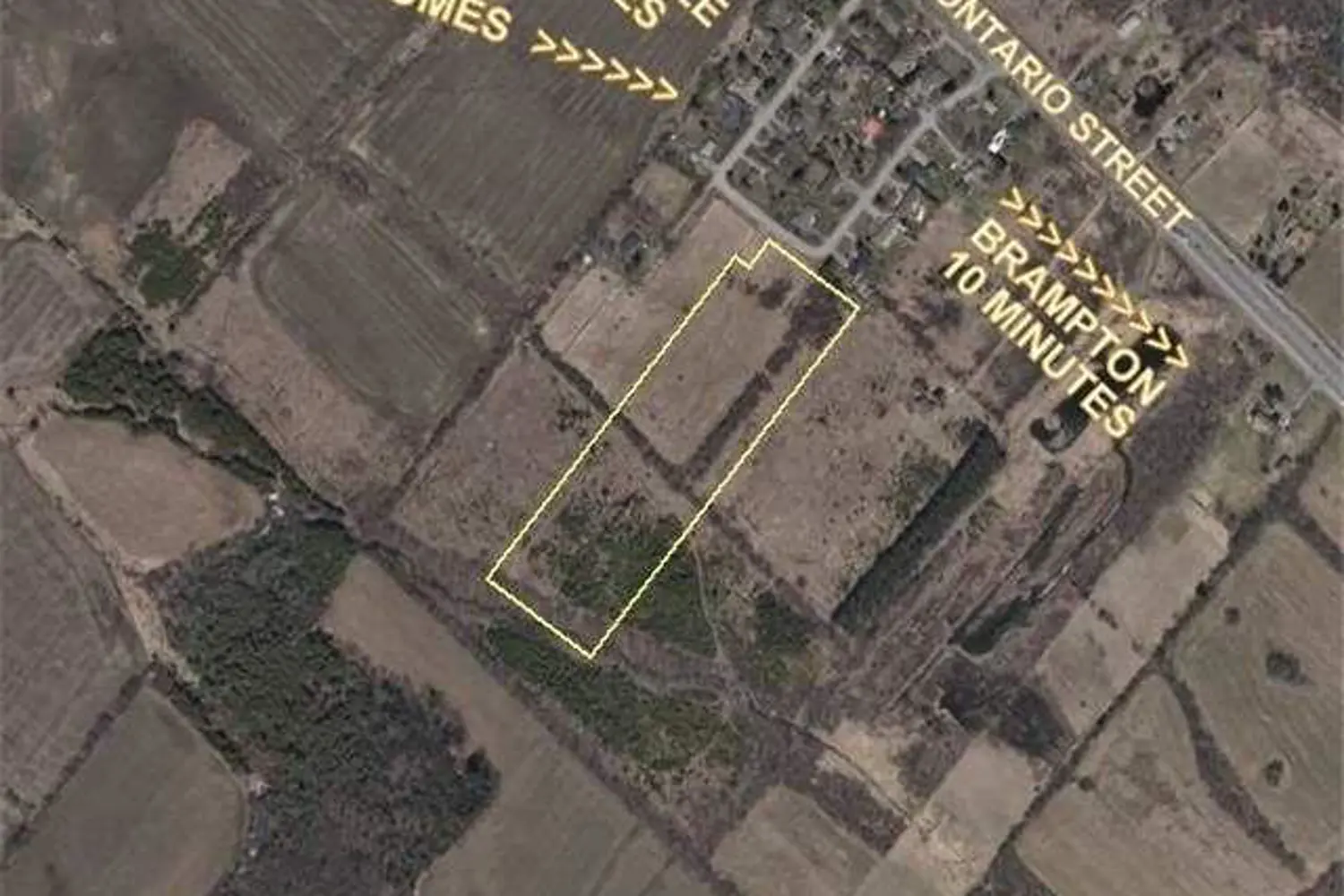 Additional image 3 of 21 Terry Street