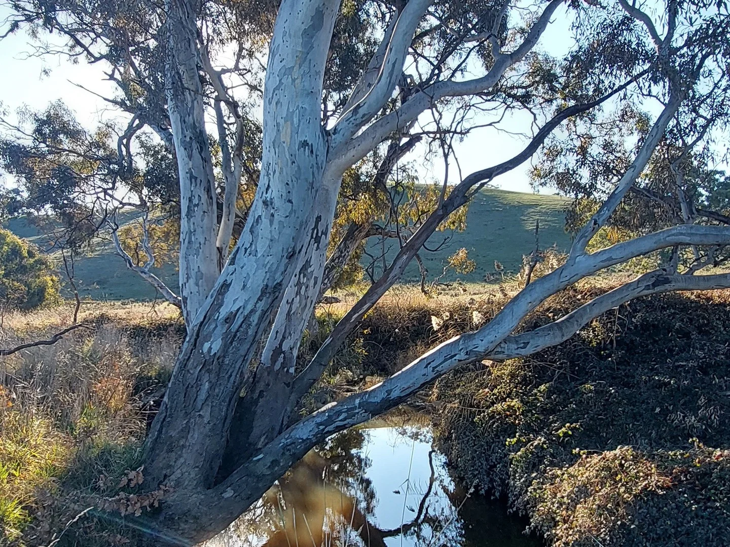 Additional image 3 of 7 Kitchen Street, Maindample VIC 3723