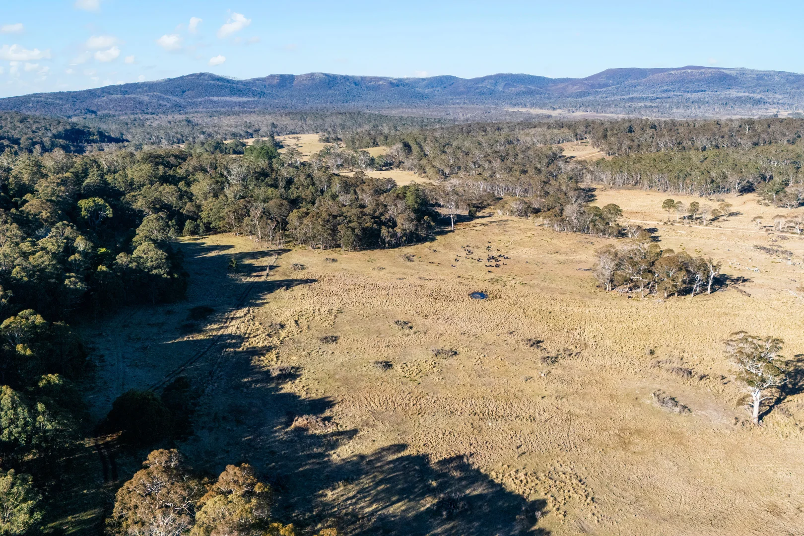 Additional image 31 of 1974 Tuross Road, Kybeyan NSW 2631