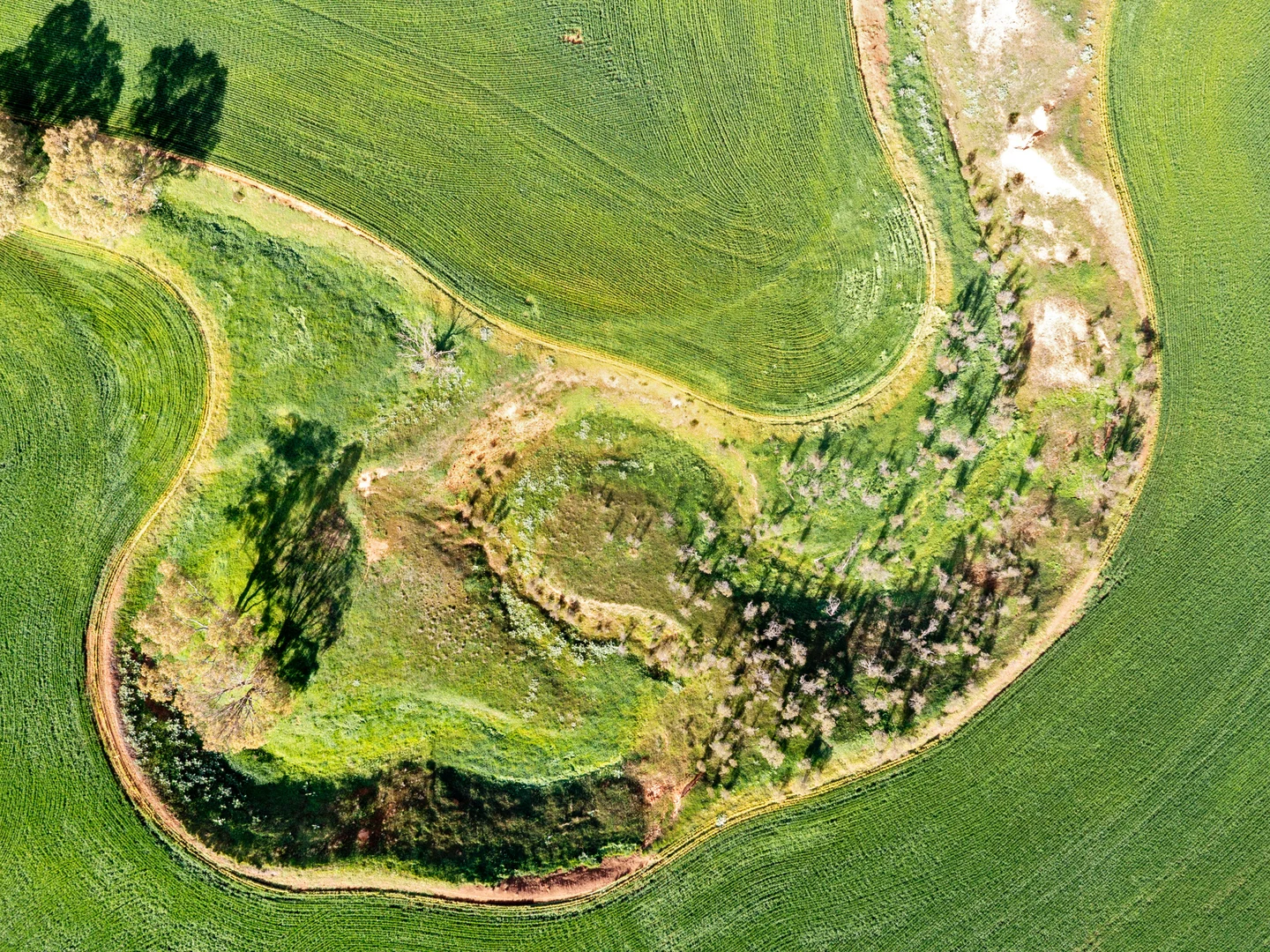 Additional image 6 of Section 345 & 346, Brinkworth SA 5464