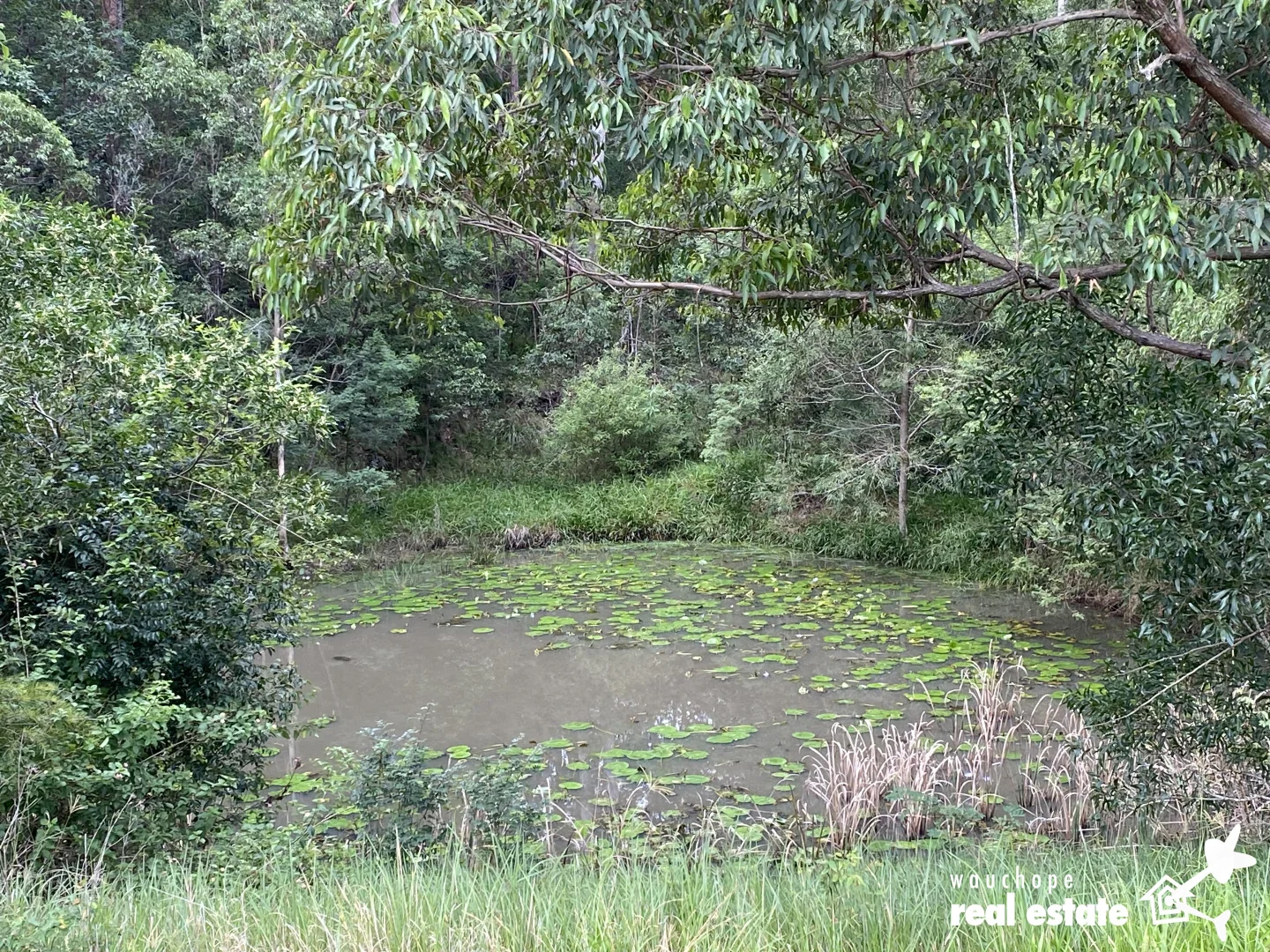 Additional image 20 of 694 Pipeclay Road, Pipeclay NSW 2446