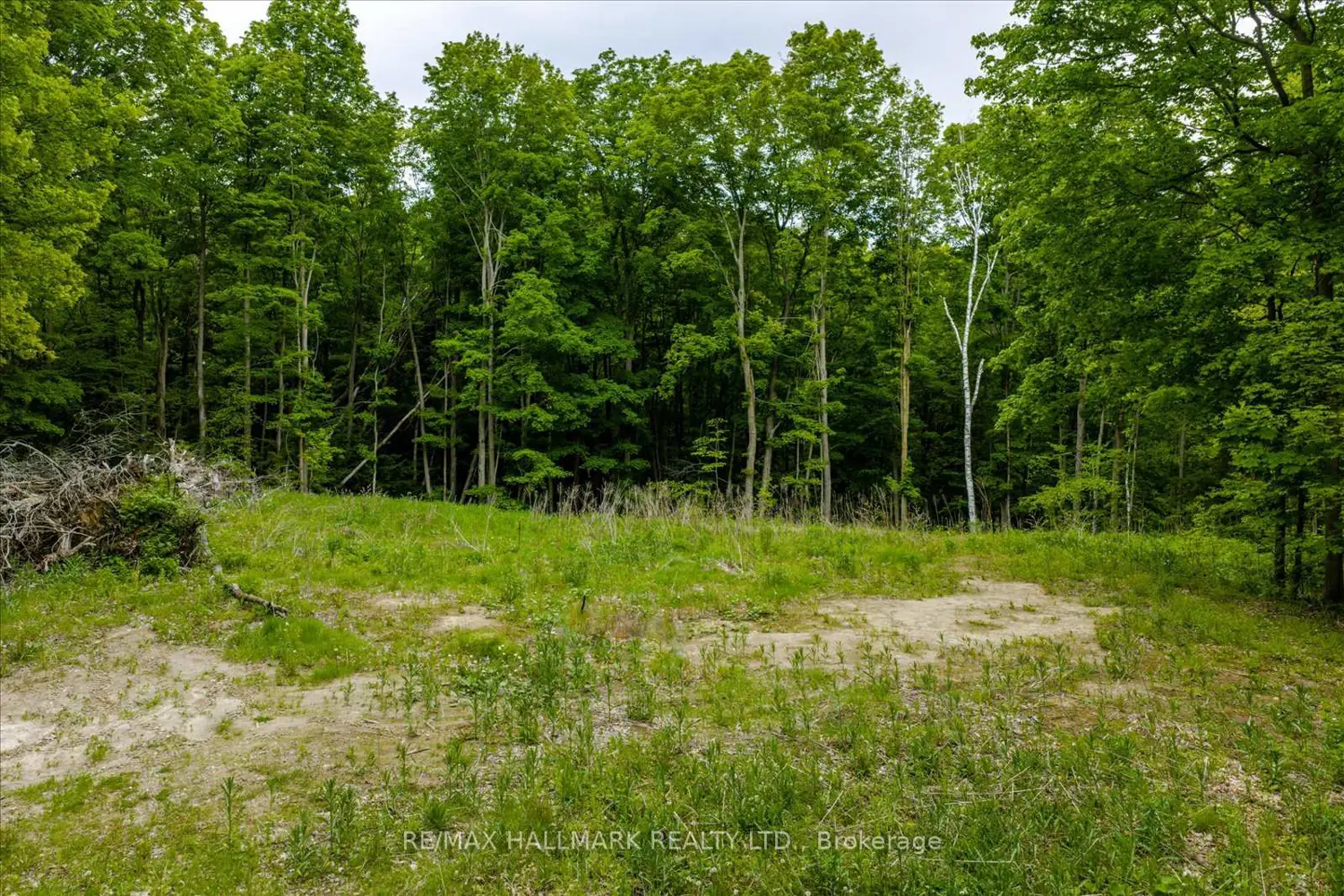 Additional image 11 of 430 Churchill Avenue