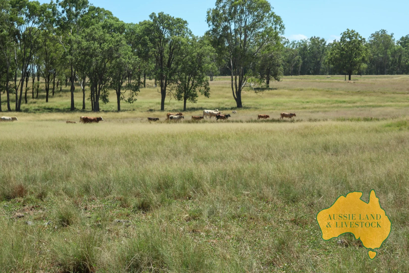 Additional image 24 of 629 Stuart Valley Drive, Haly Creek QLD 4610