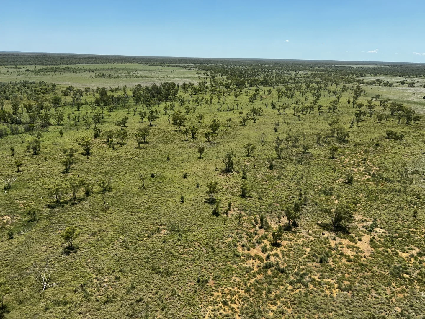 Additional image 6 of Benmara Station, Creswell NT 0852