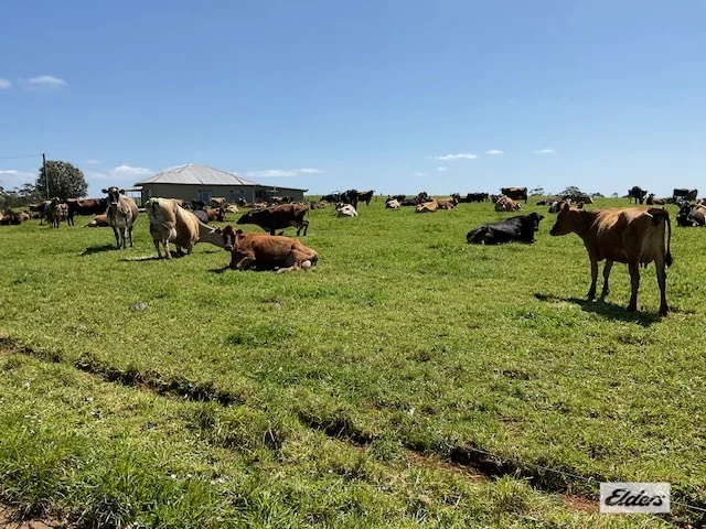 Additional image 22 of Dawkins Road, Lileah TAS 7330