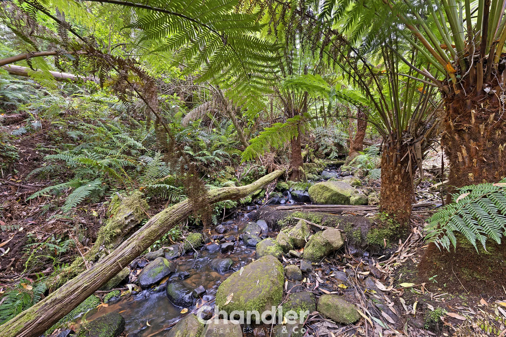 Additional image 30 of 19 Colehurst Crescent, Olinda VIC 3788