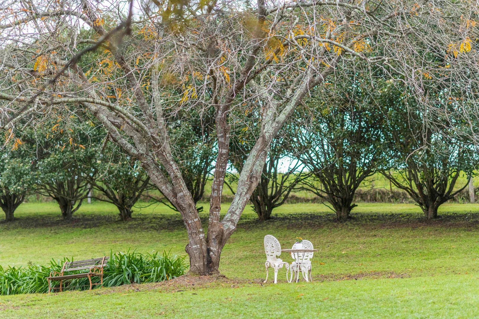 Additional image 19 of 149 Eastview Drive, Orangeville NSW 2570