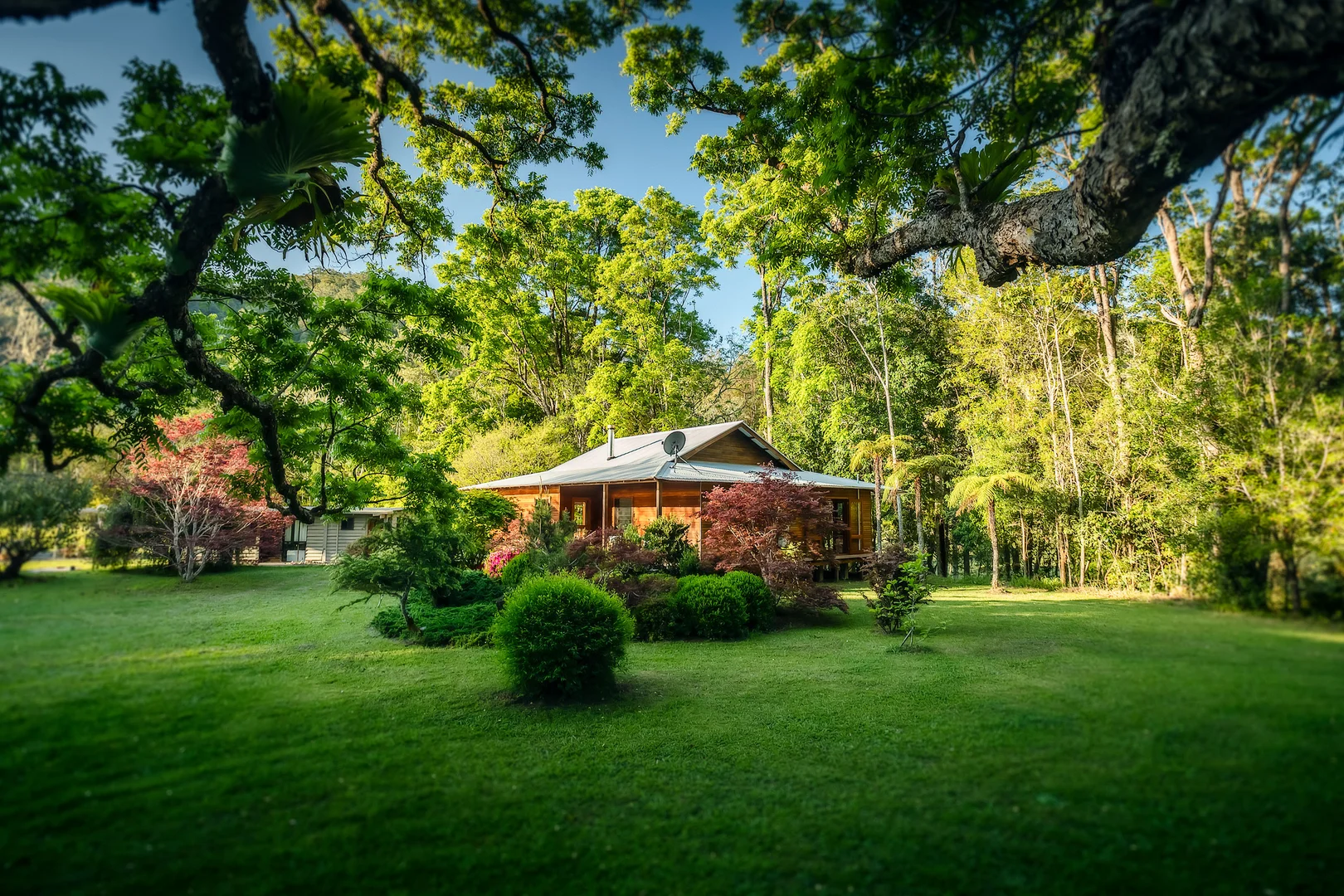 Additional image 25 of 1458 Darkwood Road, Bellingen NSW 2454