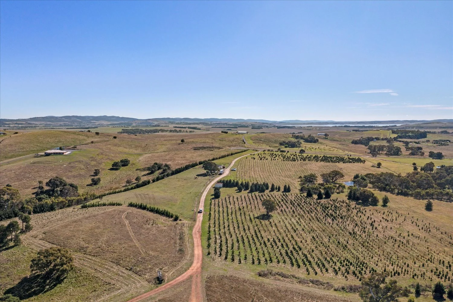 Additional image 53 of 134 Lakeview Road, Tarago NSW 2580