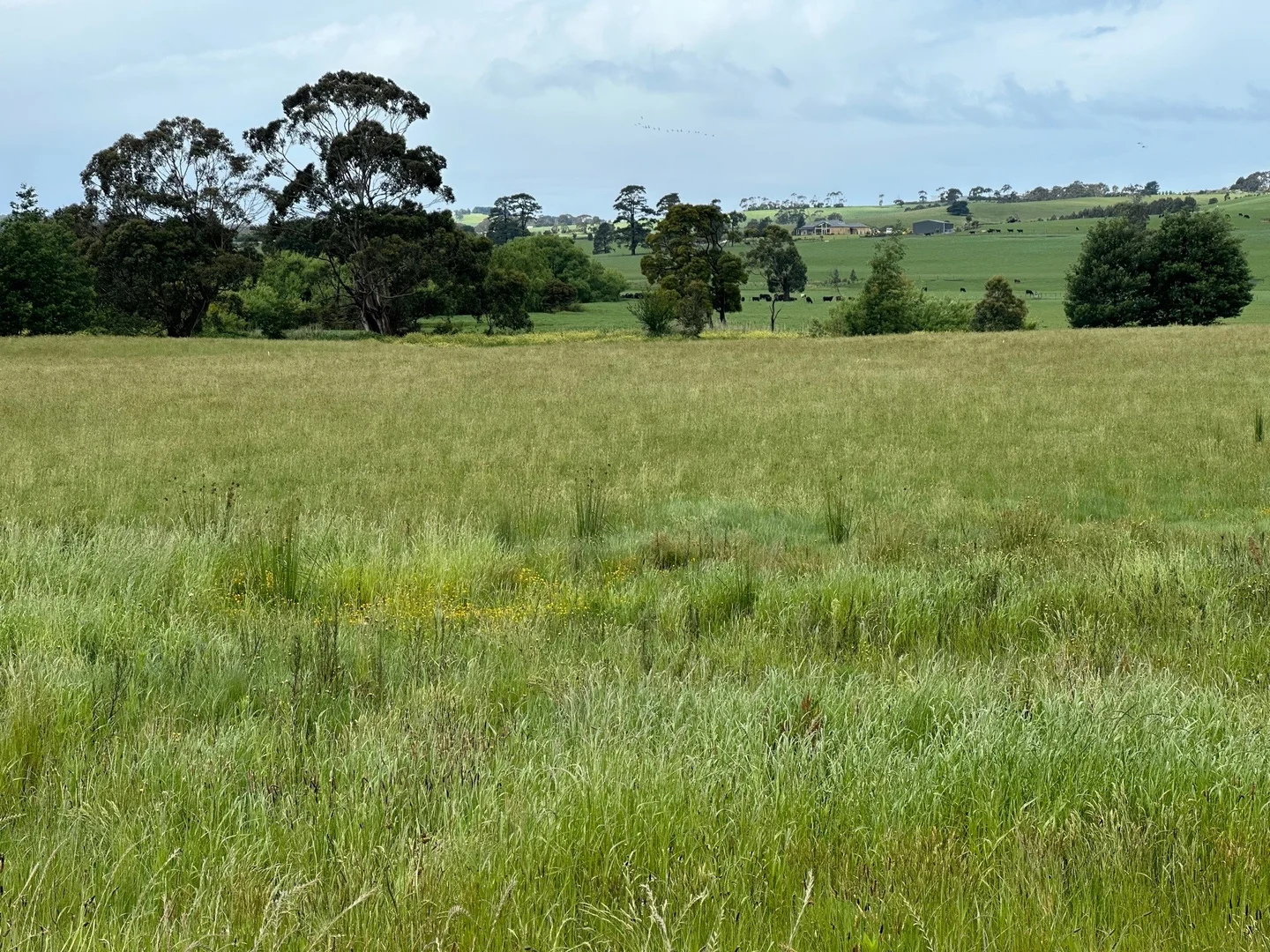 Additional image 8 of 9 River Drive, Leongatha VIC 3953