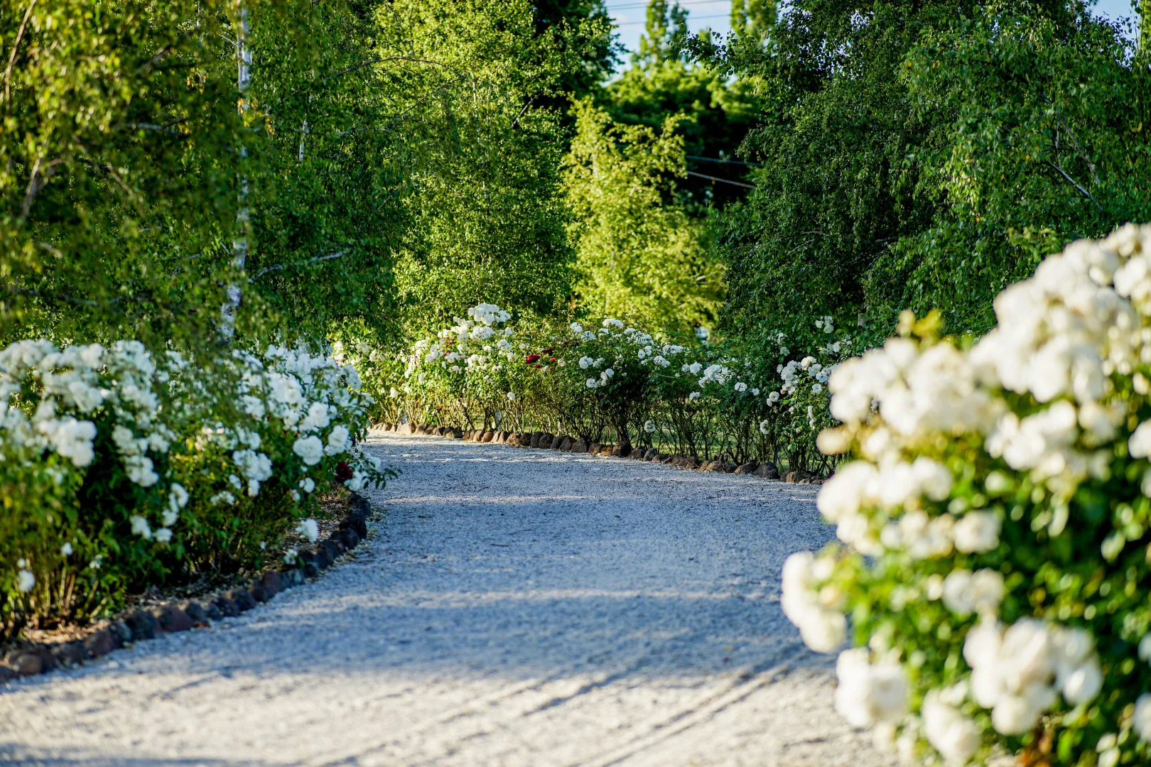 Additional image 5 of 24 Argyle Lane, Kyneton VIC 3444