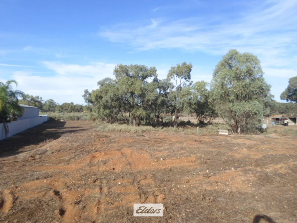 Additional image 2 of 42 Nixon Street, Euston NSW 2737