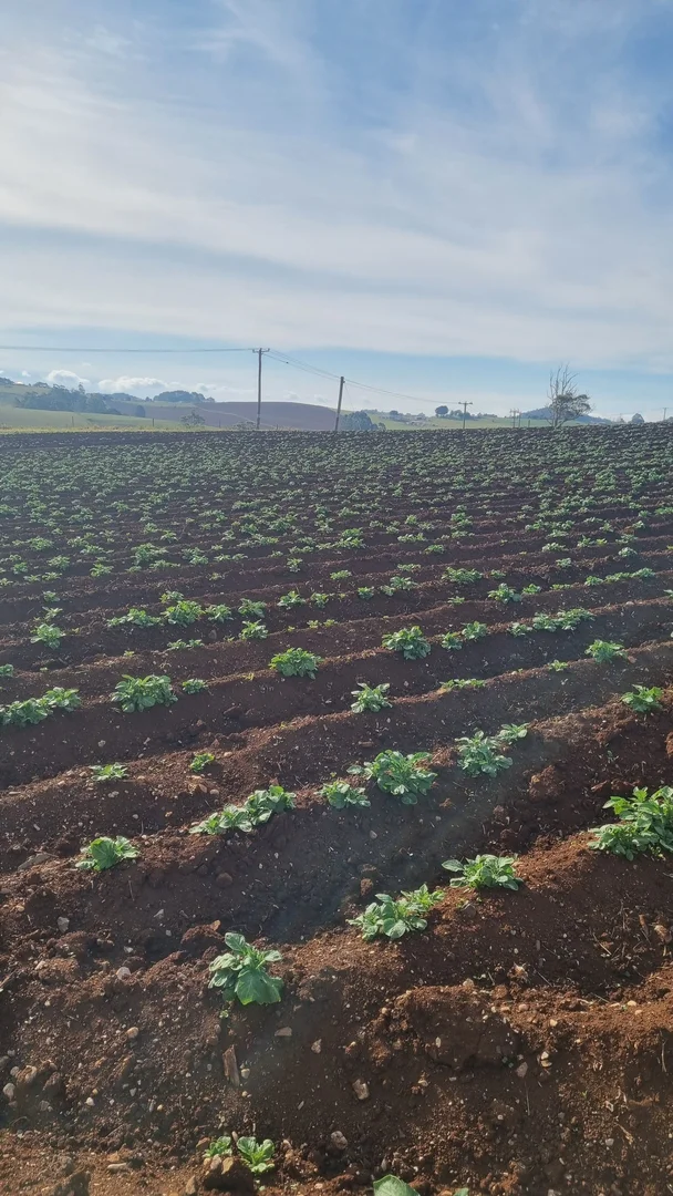 Additional image 13 of 299 Natone Road, Stowport TAS 7321