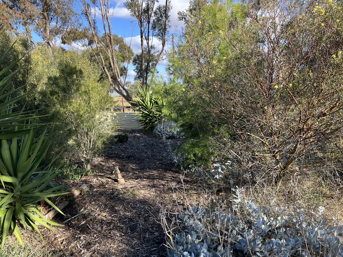 Additional image 30 of 3 Netherby Baker rd, Netherby VIC 3418