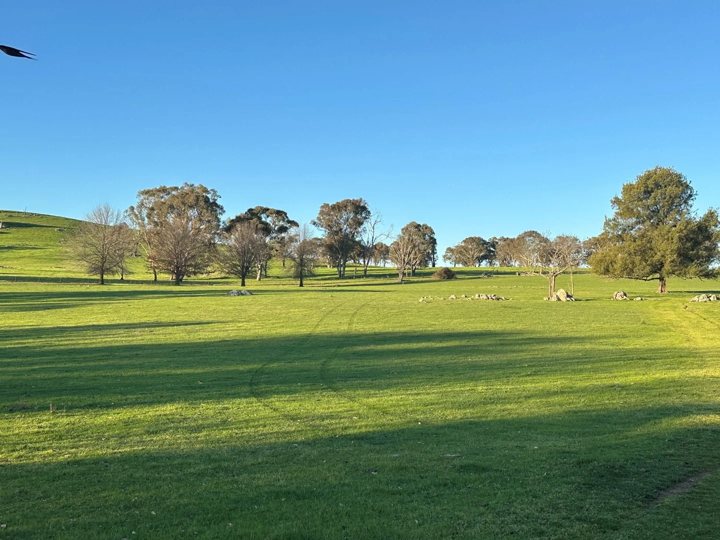 Additional image 6 of 0 Glengarry Road, Binalong NSW 2584