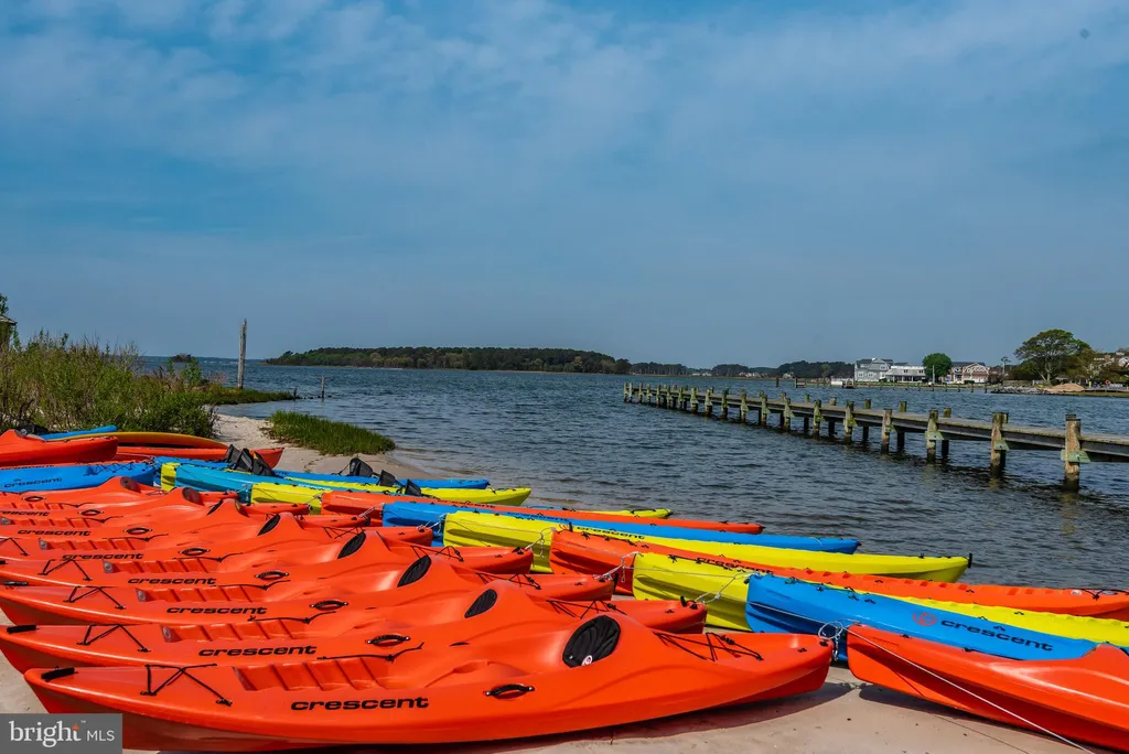 32335 Turnstone Court, Millsboro, DE 19966