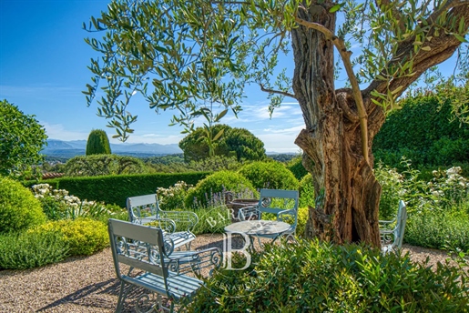 Mougins (Alpes-Maritimes)