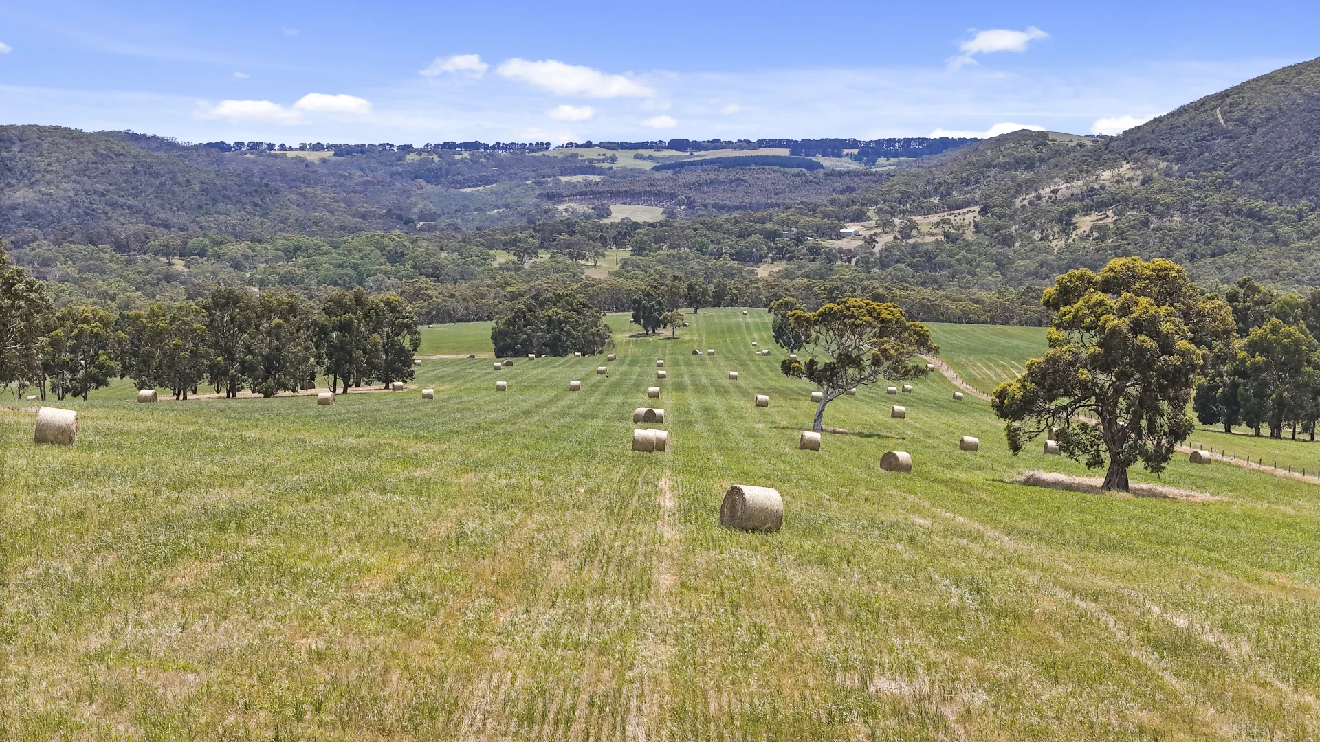 Additional image 10 of 228 Hutchinson Road, Hindmarsh Valley SA 5211