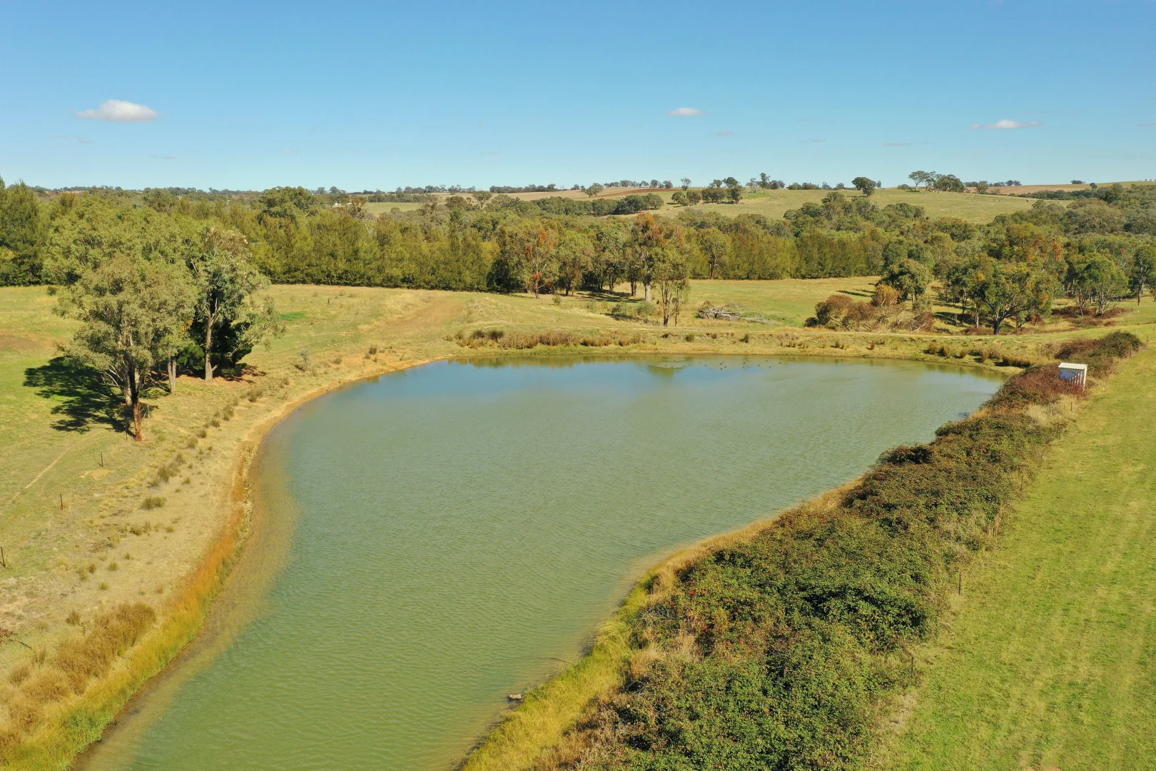 Additional image 25 of 760 Spring Creek Road, Young NSW 2594