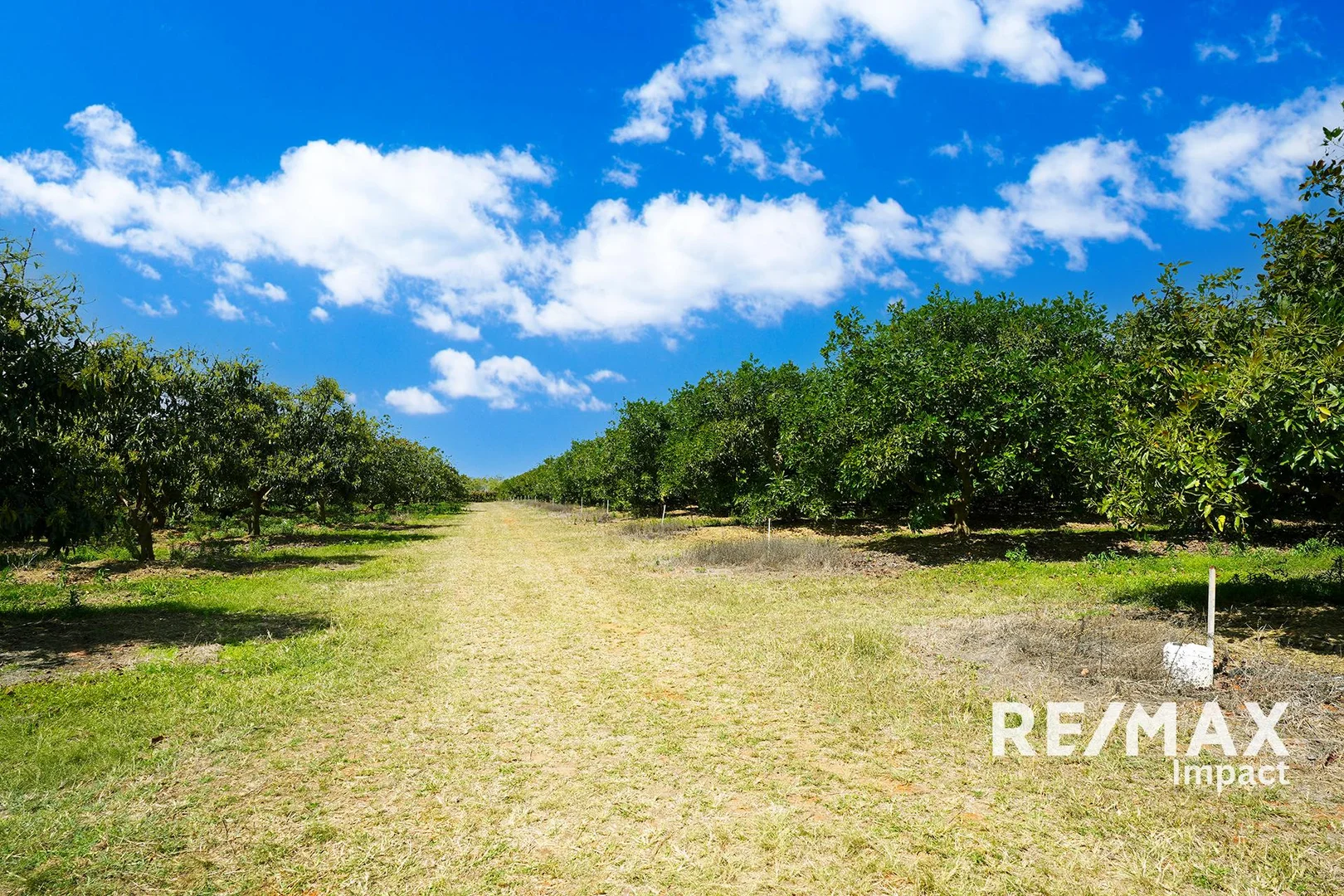 Additional image 5 of 44 Carman Road, Paddys Green QLD 4880