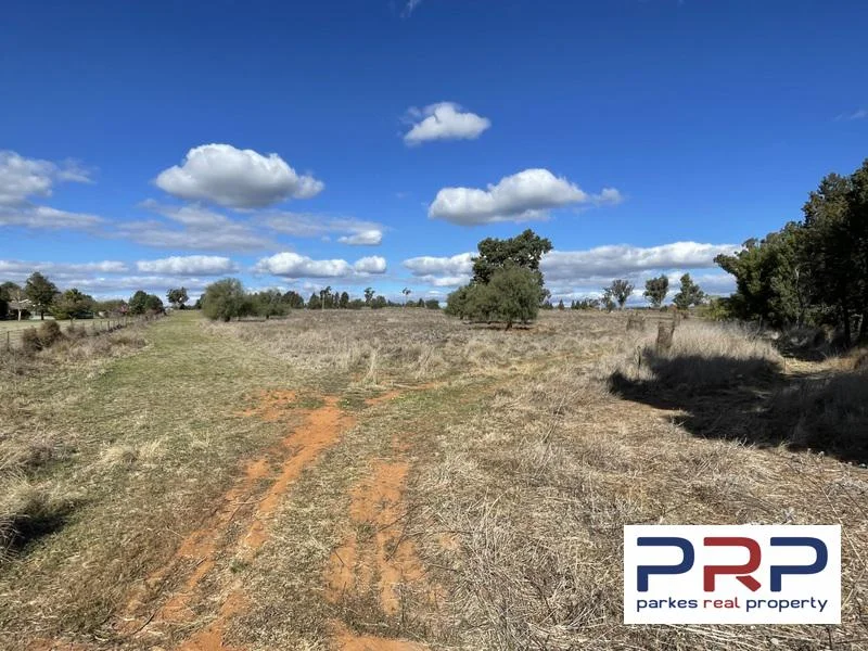 48 Furners Lane, Trewilga NSW 2869