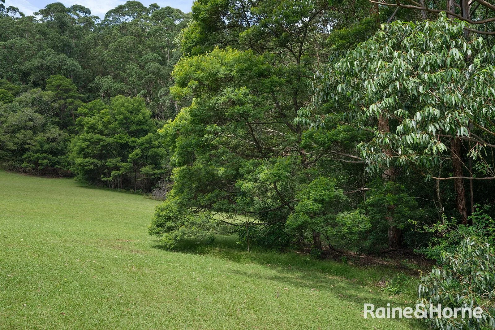 Additional image 25 of Lot 1 Selbys Road, Budgong NSW 2577