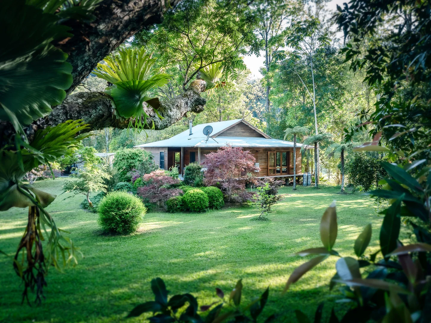 Additional image 41 of 1458 Darkwood Road, Bellingen NSW 2454