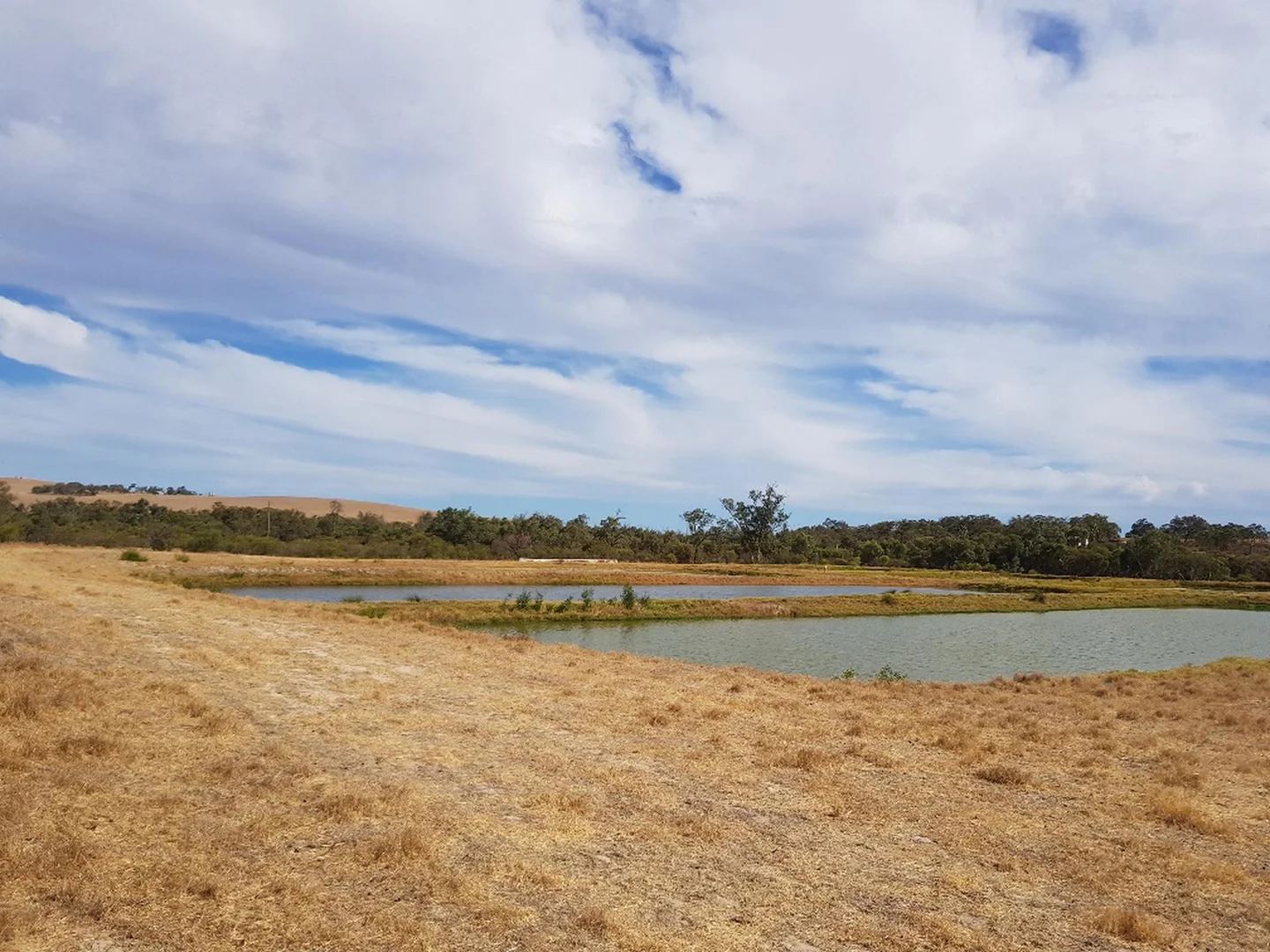 Additional image 19 of 1588 Cantabilling Road, Jurien Bay WA 6516