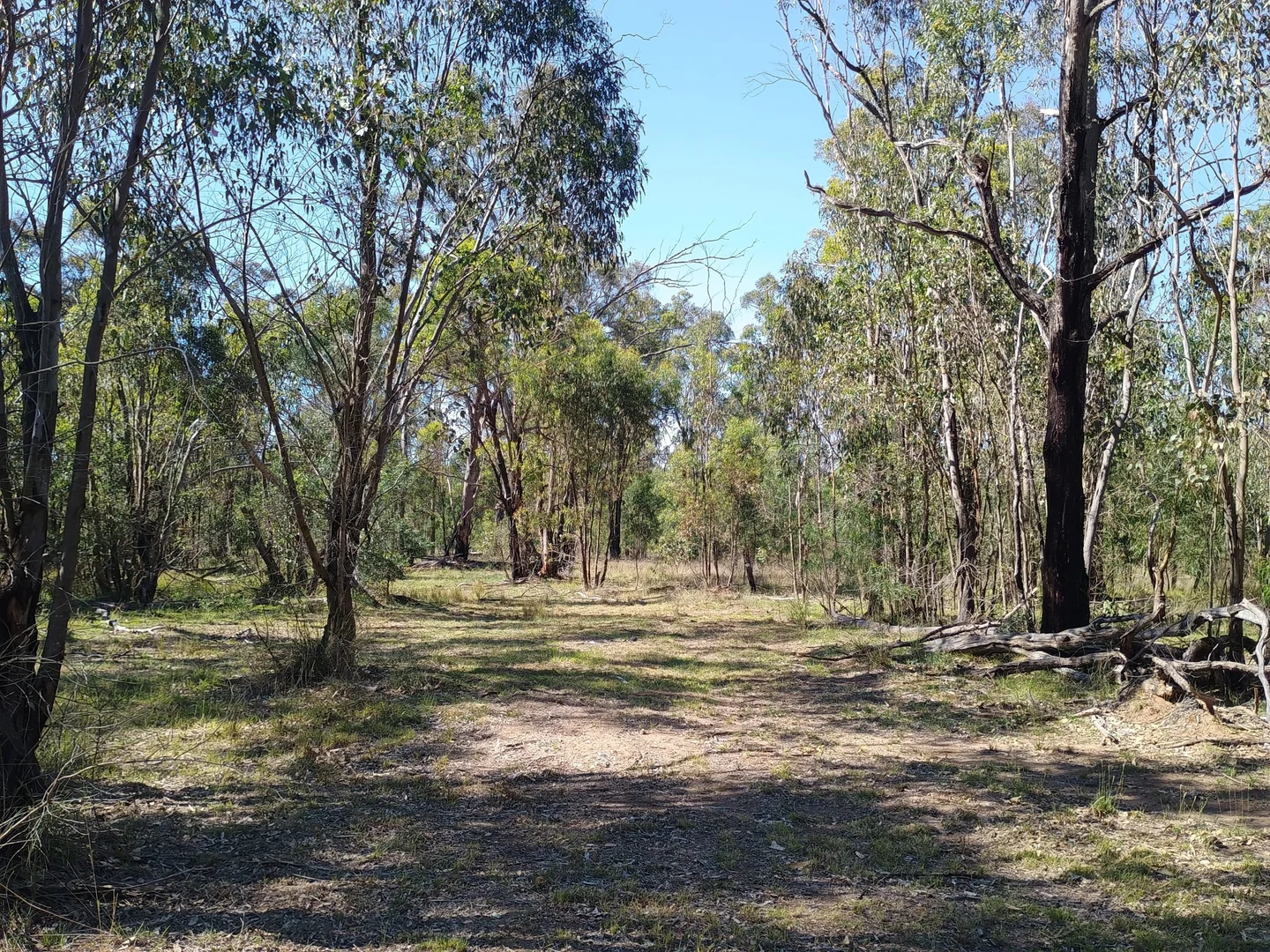 Additional image 7 of Coolah NSW 2843