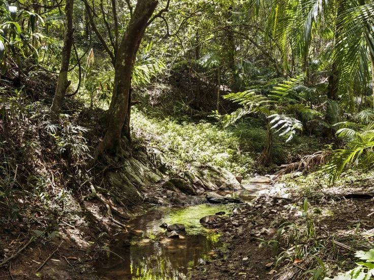 Additional image 13 of 150 Braeside Drive, Uki NSW 2484