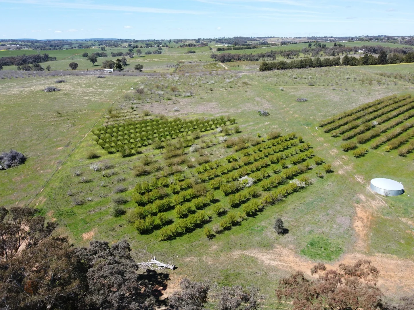 Additional image 7 of 264 Scenic Road, Young NSW 2594